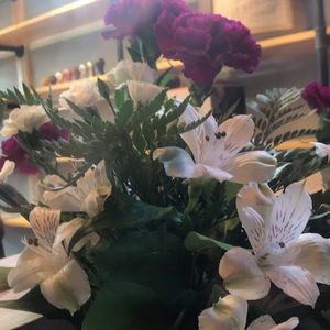 Meet your Posher, Ashlyn